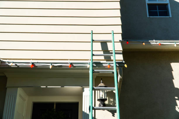 Professional Siding Services in Forestville, MD